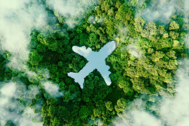 Traveling Sustainably: How to Reduce Your Carbon FootprintNew post 1675420769