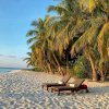The Benefits of Taking a Guided Tour for Your Next VacationNew post 1675420169
