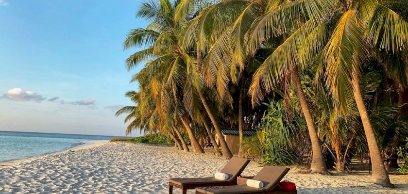 The Benefits of Taking a Guided Tour for Your Next VacationNew post 1675420169