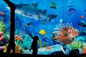 Sea Life Bangkok