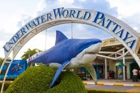 Underwater World