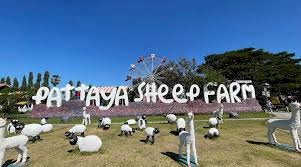 Pattaya Sheep Farm