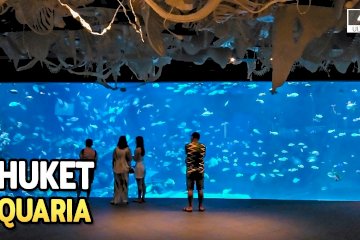 Aquaria Phuket