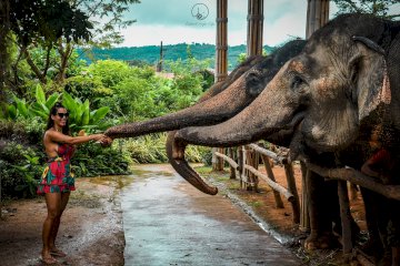 Ao Nang Elephant Sanctuary