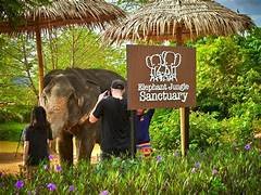 Phuket Elephant Jungle Sanctuary