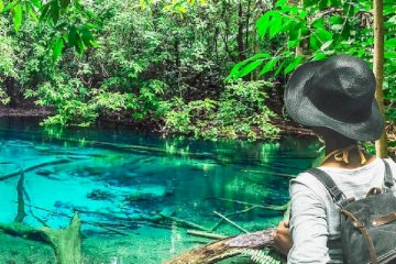 Jungle Tour with Hot Springs Emerald Pool and Lunch